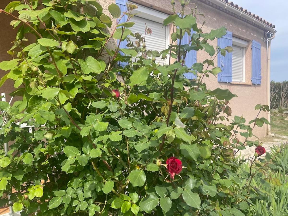Confortable Villa De Vacances Entre Nimes, Le Pont Du Gard, Uzes, Arles, Avignon 马尔格里特 外观 照片